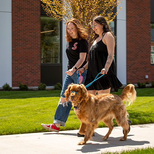 photo of students walking a dog.