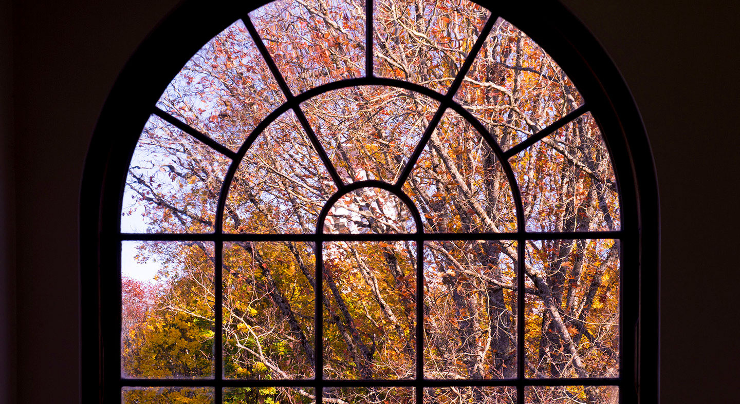 view of the trees through Melrose Hall window