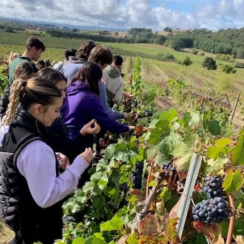 Students visiting a vineyard.