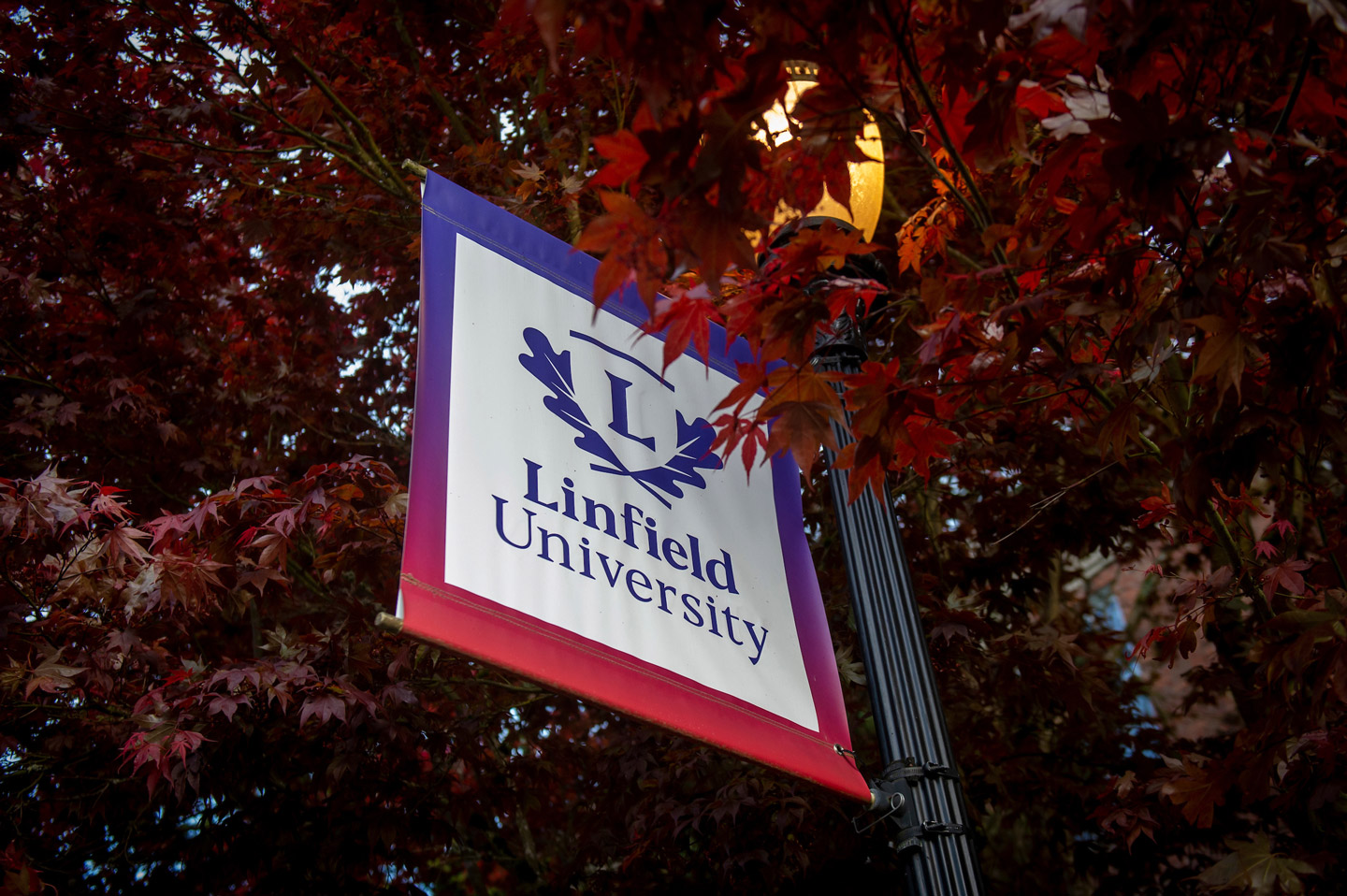 Linfield University banner on light pole