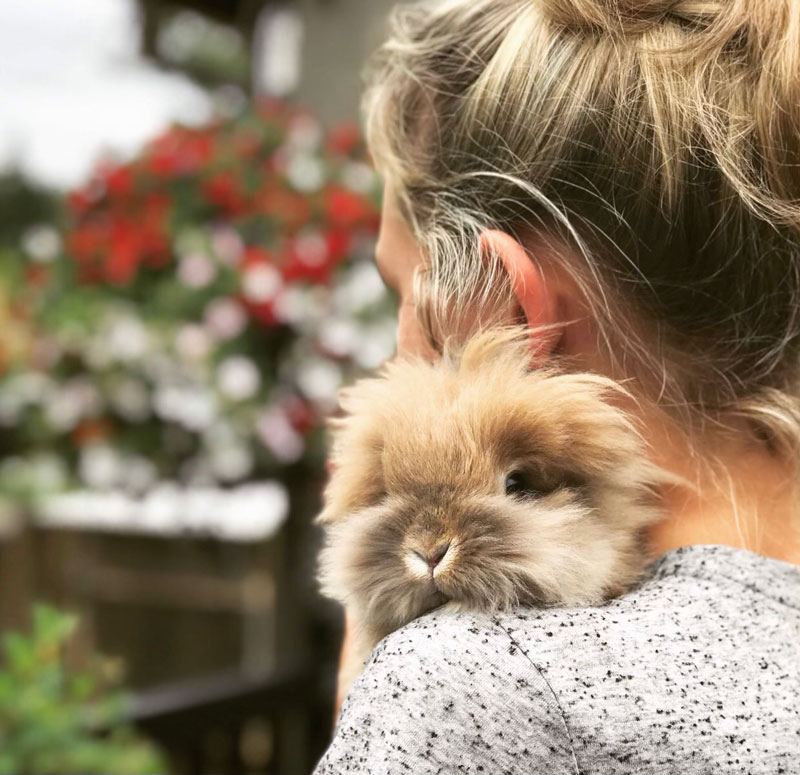 Jillian Quiett '23 and her mini Lionhead Rabbit Emery