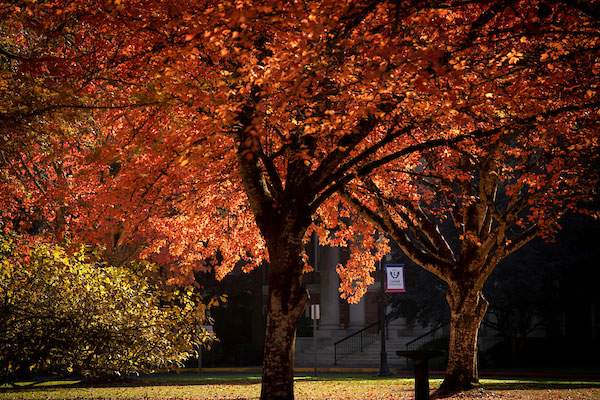 campus in the fall