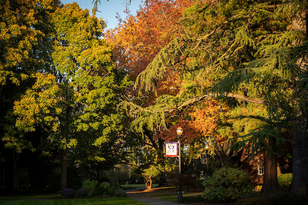 Linfield University banner