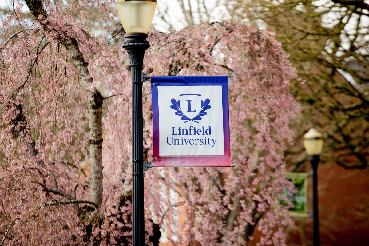 Linfield University banner on a light post with cherry blossoms in the background.
