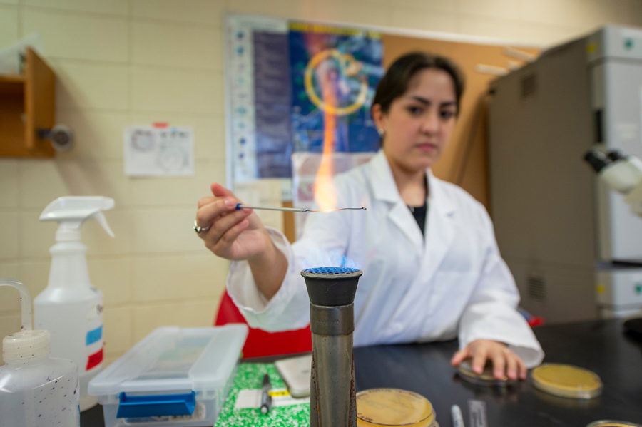 Student conducting experiment with a Bunsen burner.