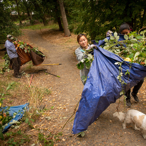 Three Linfield students moving loads of debris out of Cozine Creek during a clean-up day
