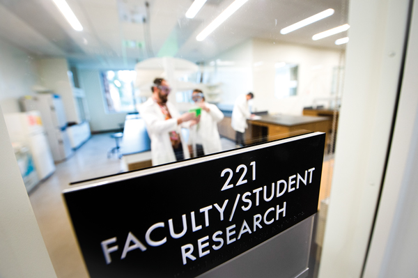 Professor and student working in the new collaborative research space.