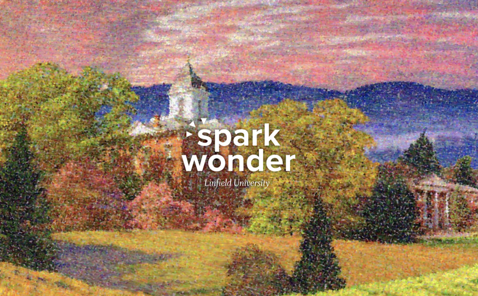 Spark Wonder campaign logo