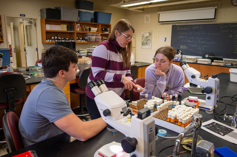 Biology Professor Catherine Reinke working with two students in a lab.