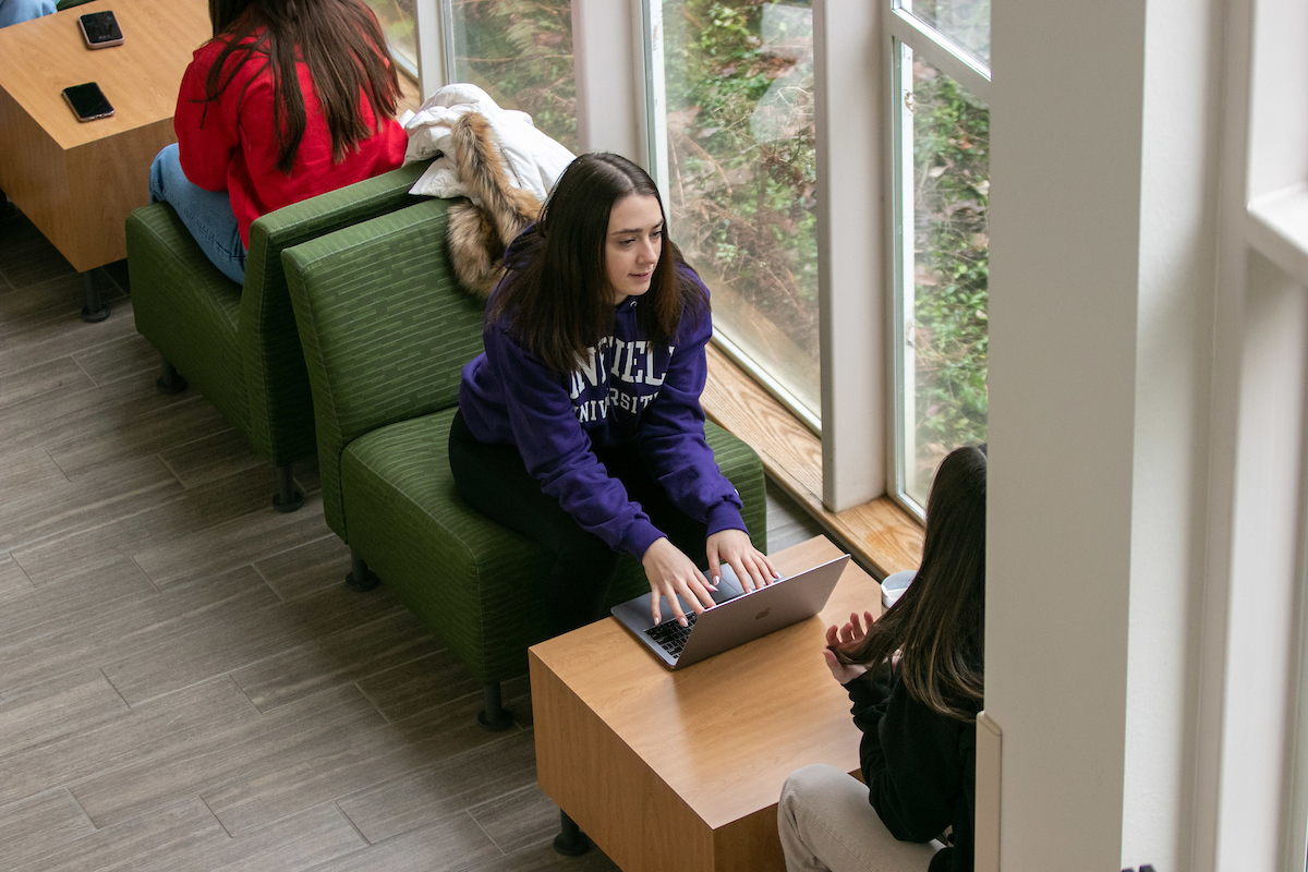 Students working together in a study lounge.