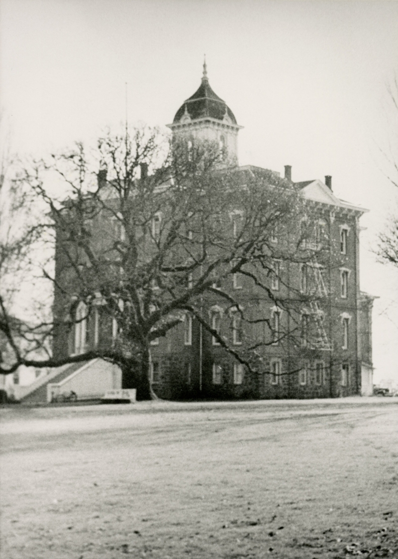 Old Oak in winter in front of Pioneer Hall