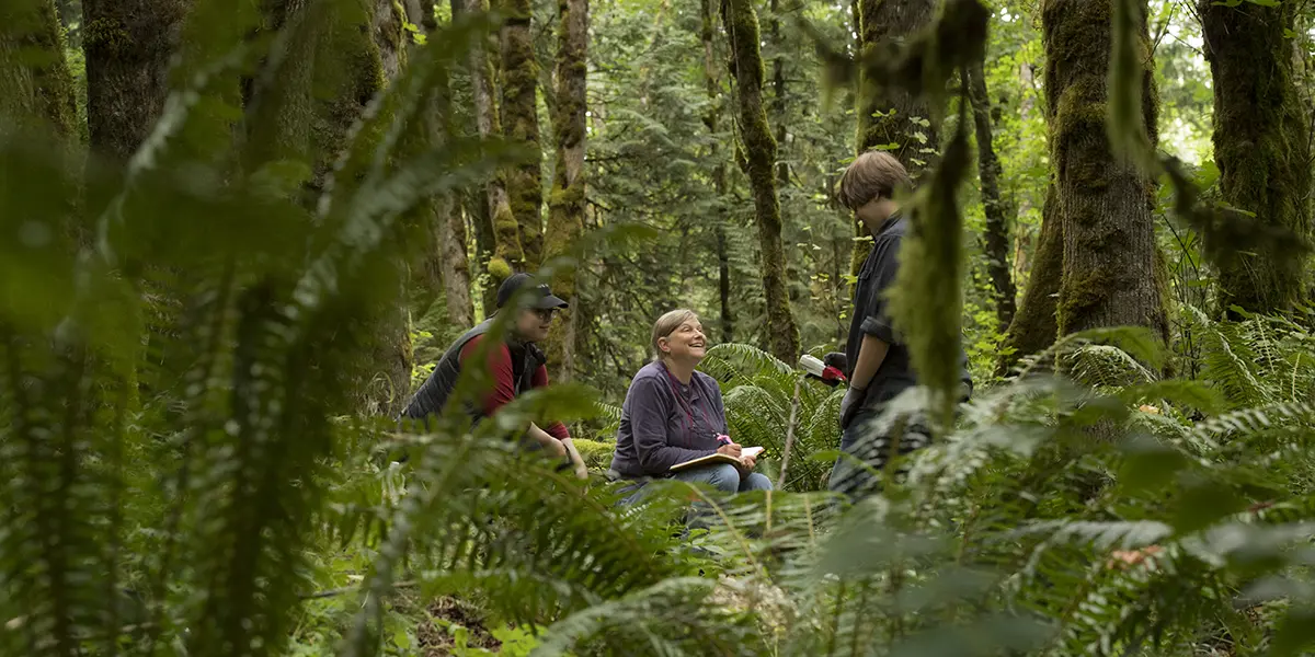 biology students researching in a forest.