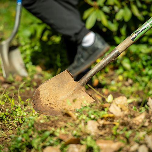 photo of a shovel digging in the dirt.