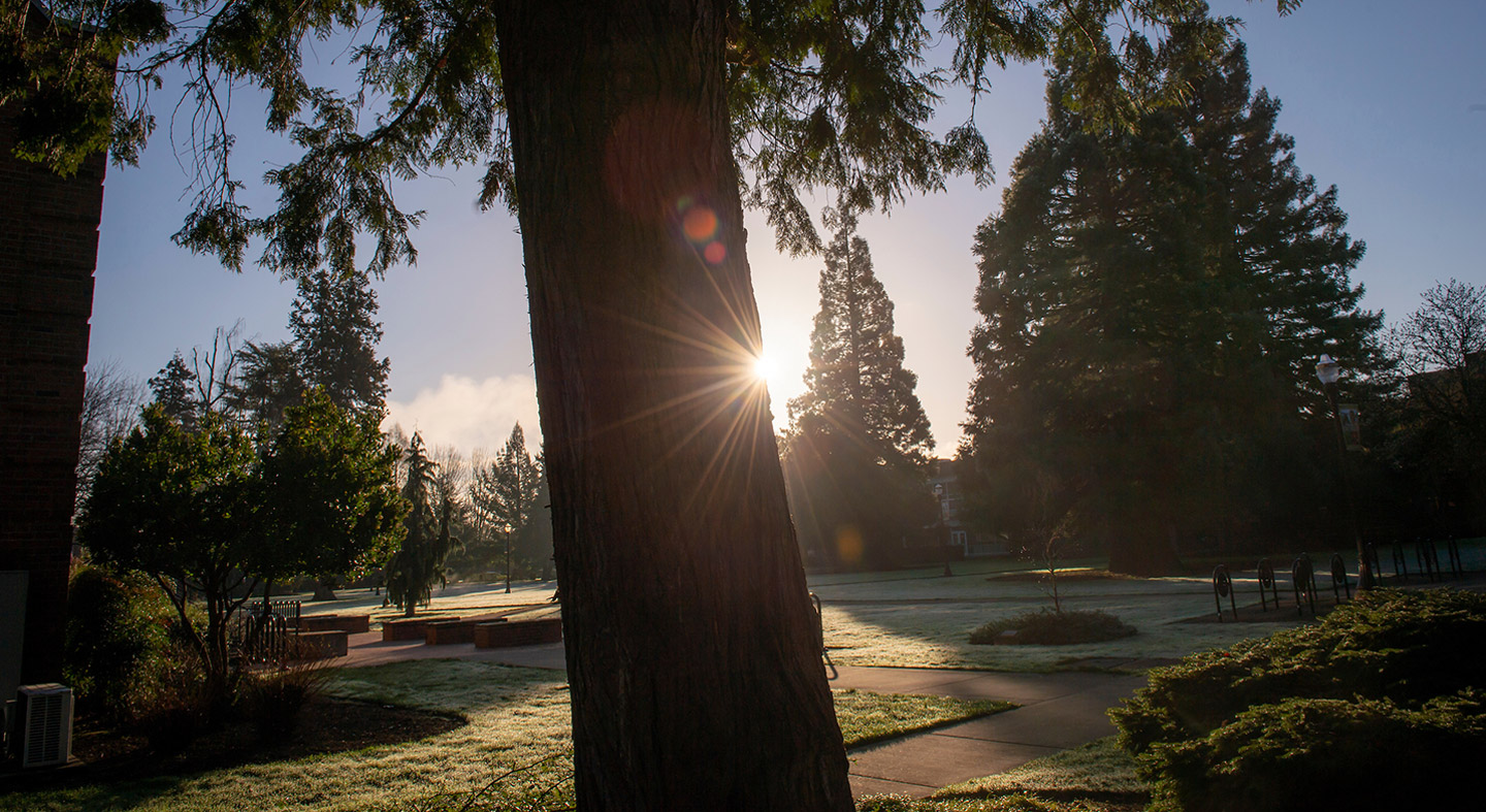 the academic quad in winter at sunrise