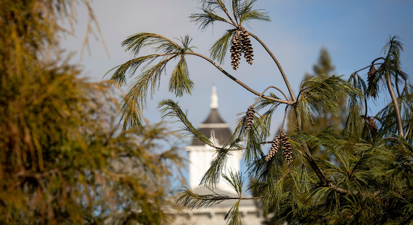 The top of Pioneer Hall through the trees.