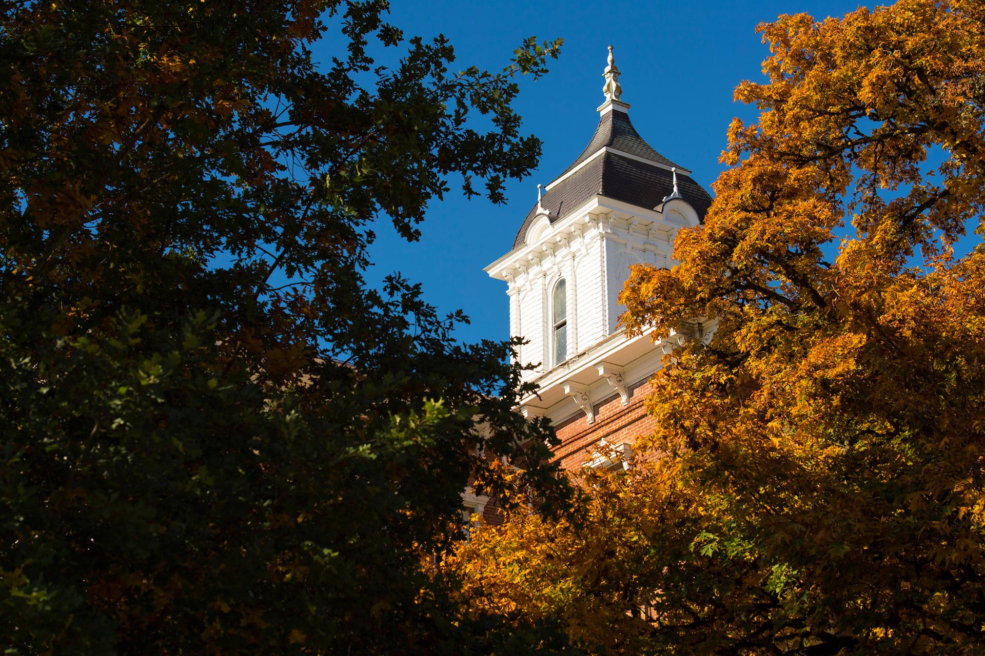 the top of Pioneer Hall through autumn leaves