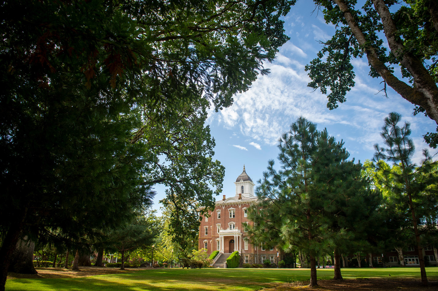 a view of Pioneer Hall through the Oak Grove