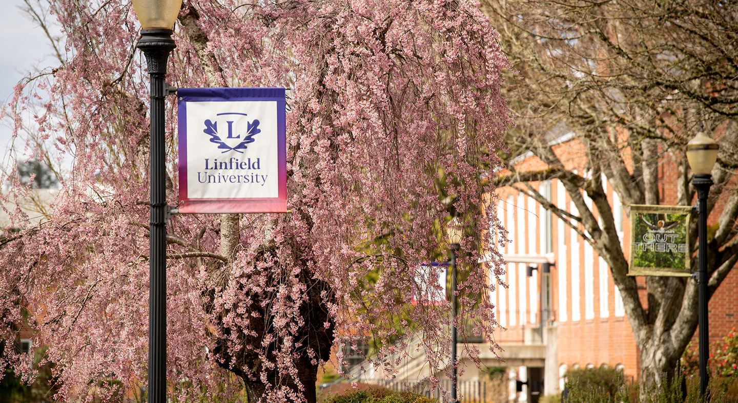 2023 Baseball: Return of the 'Cats - Linfield University Athletics