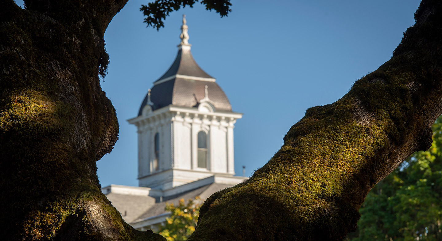 The top of Pioneer Hall through an oak tree