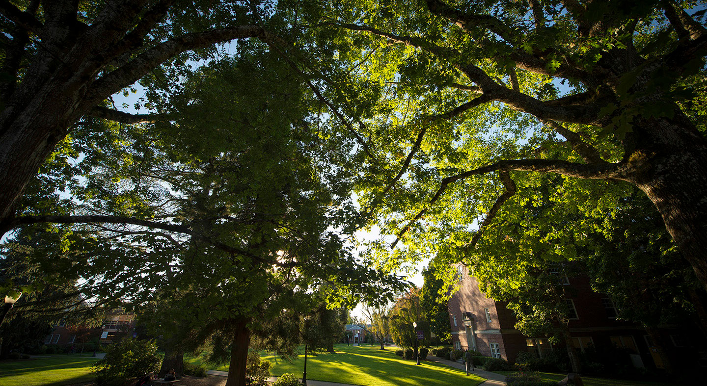 First Scholarship | Linfield University