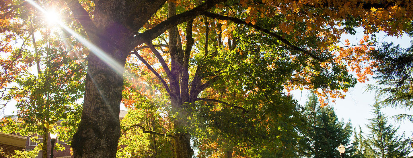 The sun shining above Walker Hall.