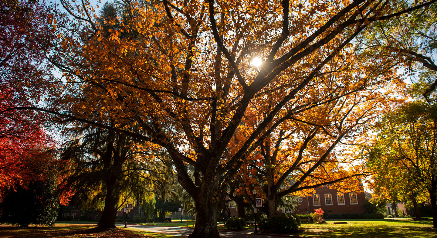 academic building on a fall morning