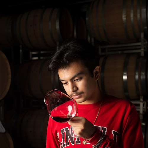 Student inspecting a glass of red wine.