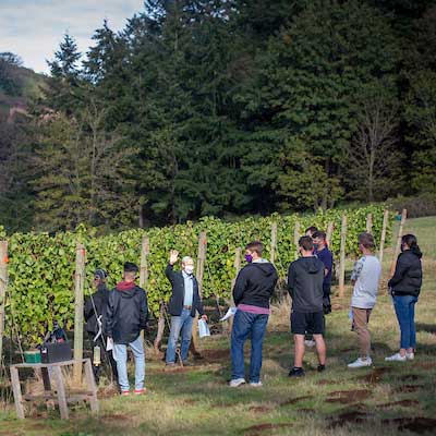 Wine Studies, Continuing Education